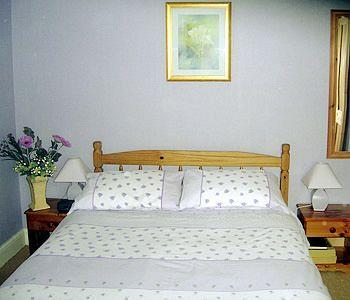 Carolina 4*
